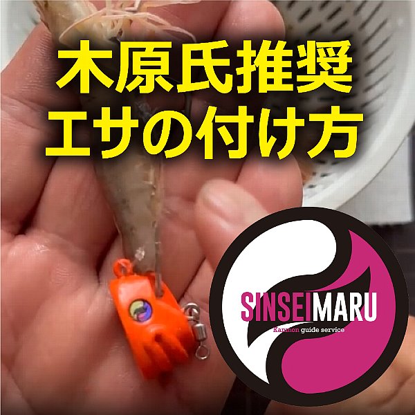 ザウルス Manb-O、Big mouth、Prop Shiner 3本セット ザウルス Manb-O、Big mouth、Prop Shiner 3本セット